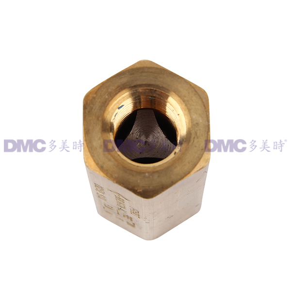 美国RegO力高 CG-250-DN6天然气止回阀