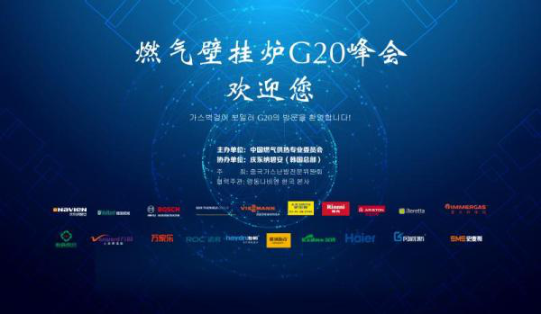 中国燃气壁挂炉G20（第五届）在韩国召开